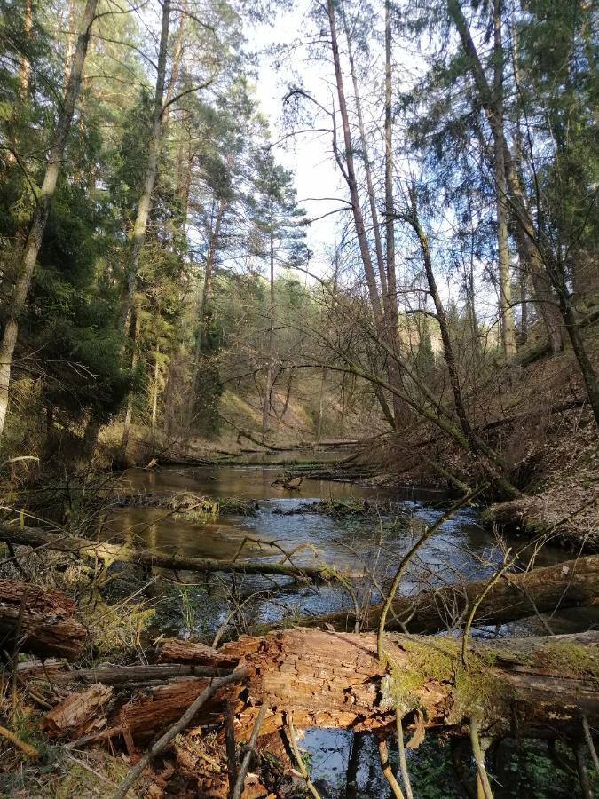 Wodamoja - Apartamenty Nad Jeziorem Stawiguda Bagian luar foto