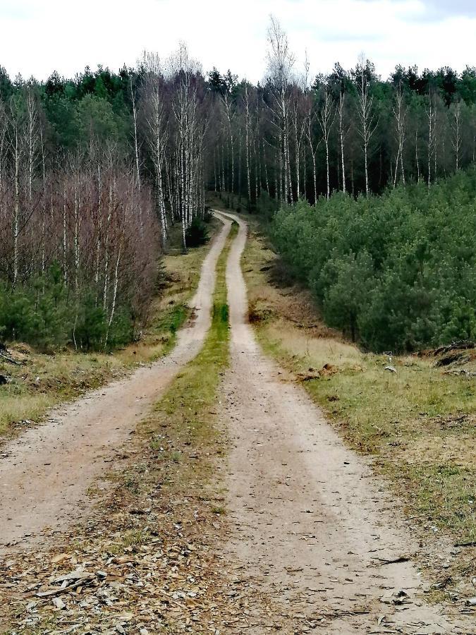 Wodamoja - Apartamenty Nad Jeziorem Stawiguda Bagian luar foto