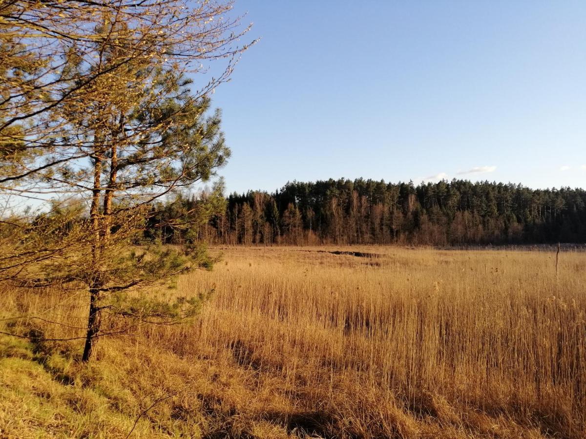 Wodamoja - Apartamenty Nad Jeziorem Stawiguda Bagian luar foto