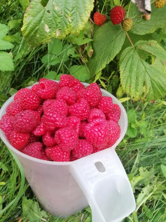 Wodamoja - Apartamenty Nad Jeziorem Stawiguda Bagian luar foto