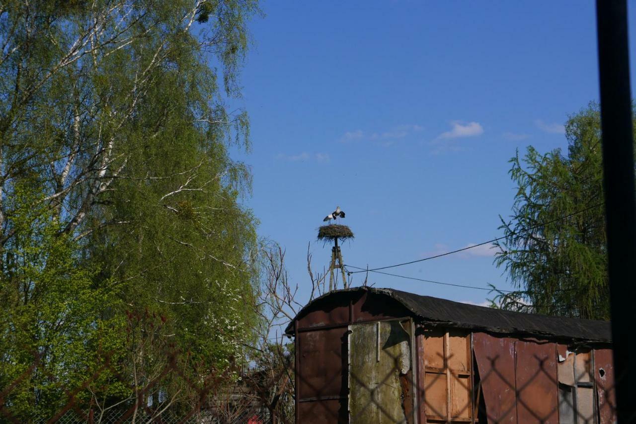 Wodamoja - Apartamenty Nad Jeziorem Stawiguda Bagian luar foto