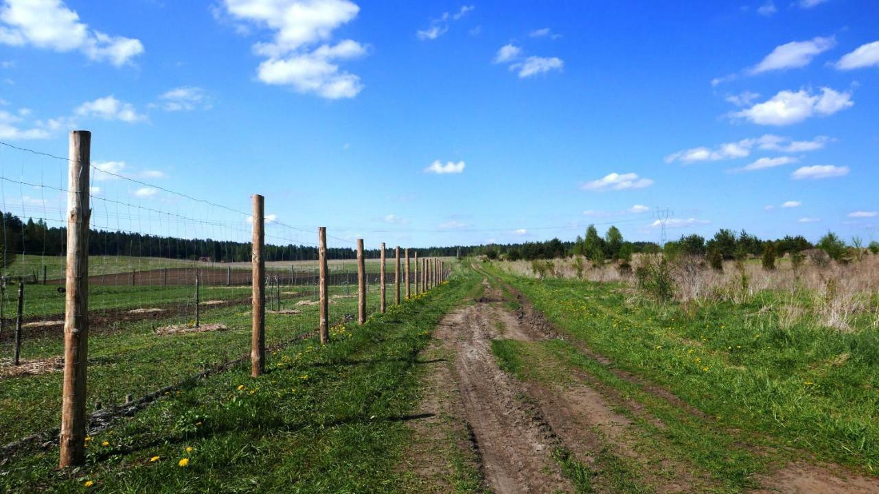Wodamoja - Apartamenty Nad Jeziorem Stawiguda Bagian luar foto